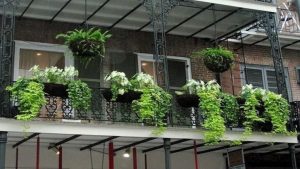Rumah247.com