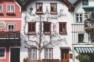 Rumah menurut Consumer Sentiment Study 