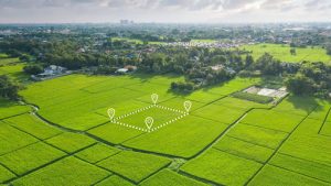 Ulasan Tanah Girik dan Cara Mengurusnya di Kantor BPN Setempat