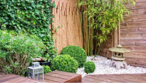 Rumah247.com