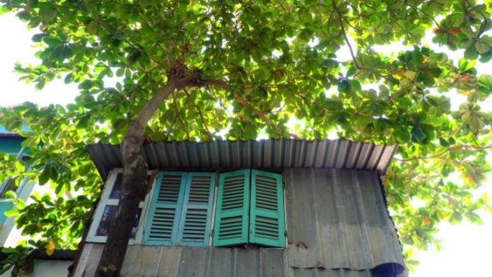rumah247.com