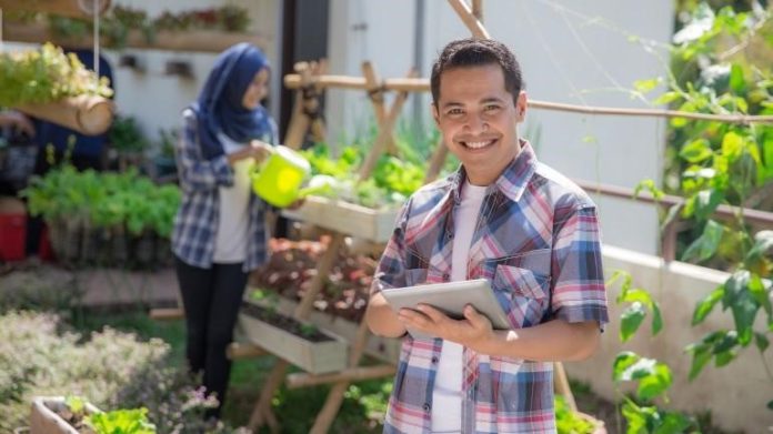 rumah247.com