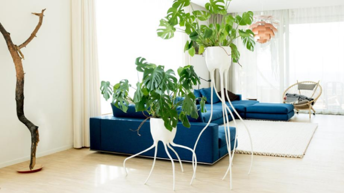 rumah247.com
