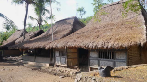 rumah247.com