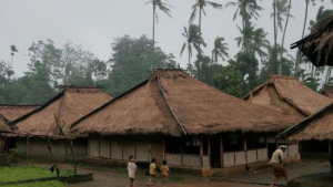 rumah247.com