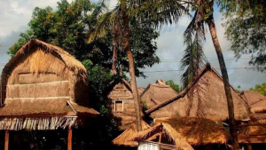 rumah247.com