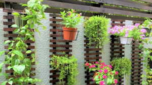rumah247.com